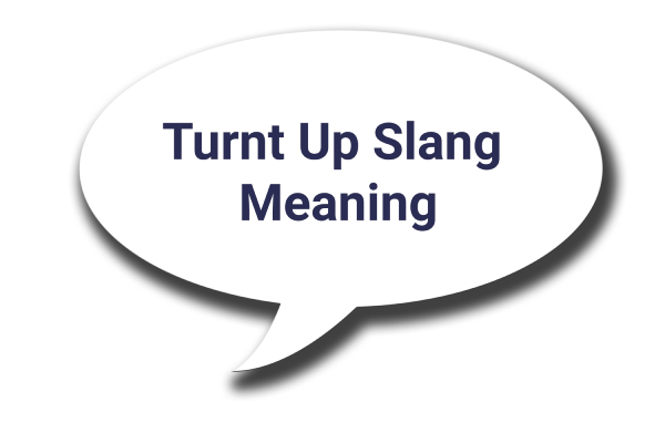 meaning of turned up in hindi