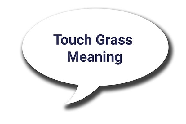 touch grass meaning