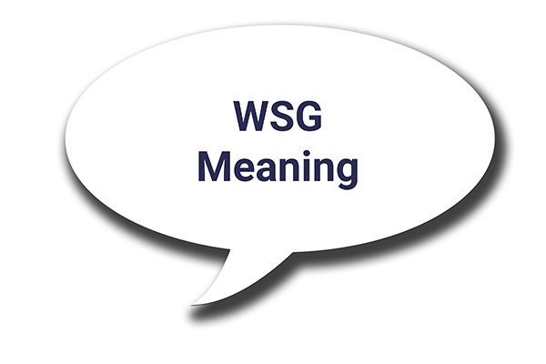 wsg meaning